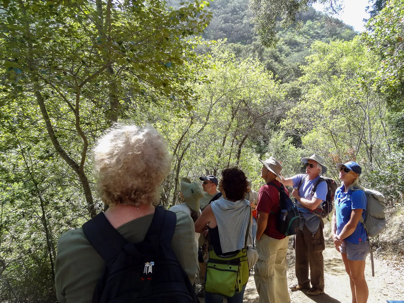 SBBG Staff field trip to Santa Cruz Island, Steve Junak