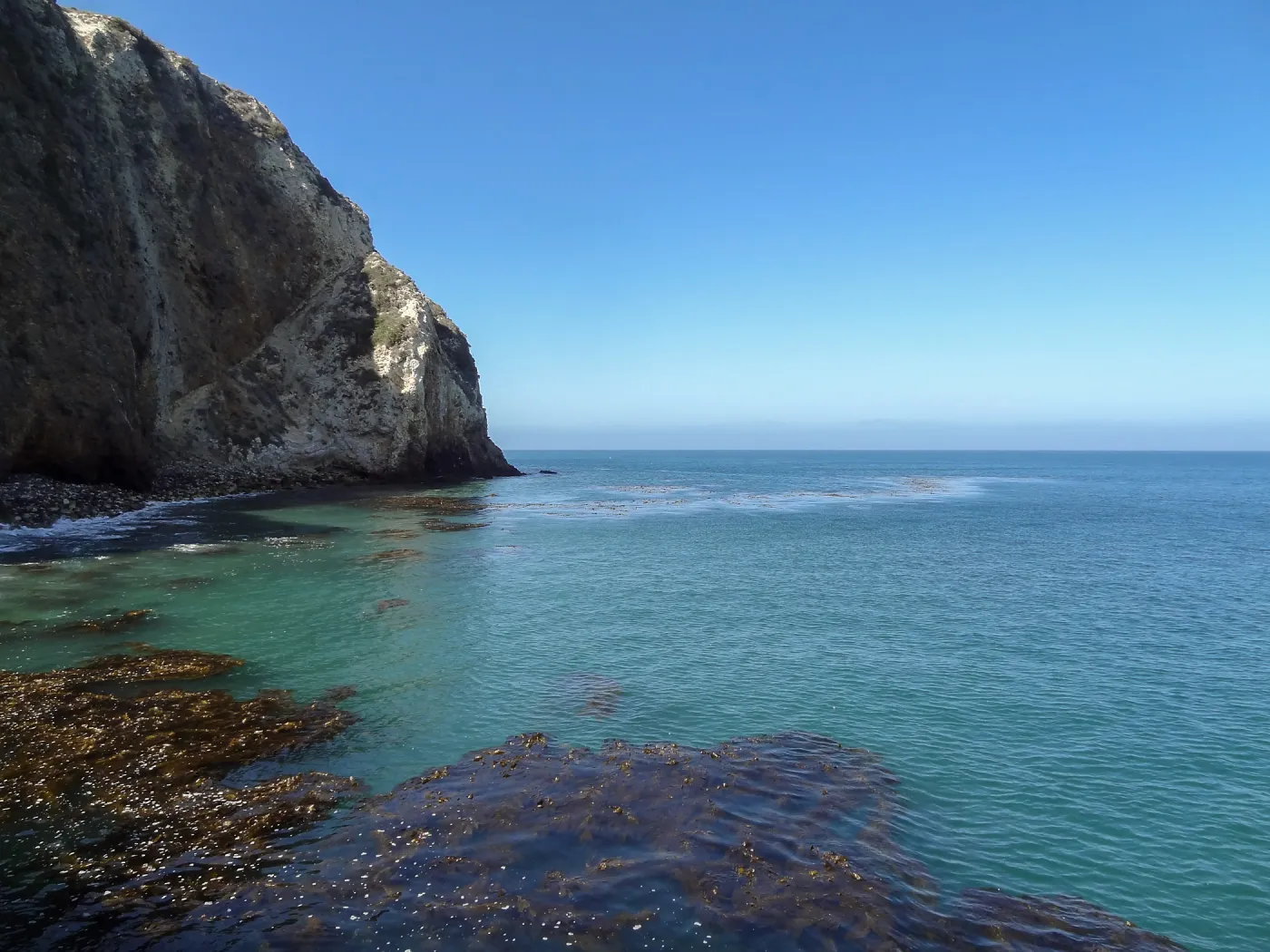SBBG Staff field trip to Santa Cruz Island, Scorpion Harbor