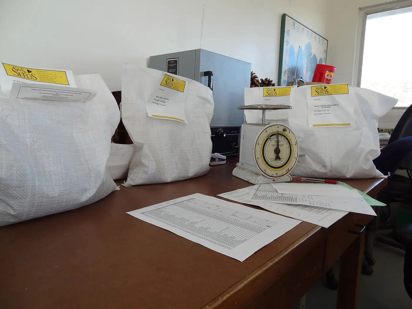 Seed Bank at Horticulture unit