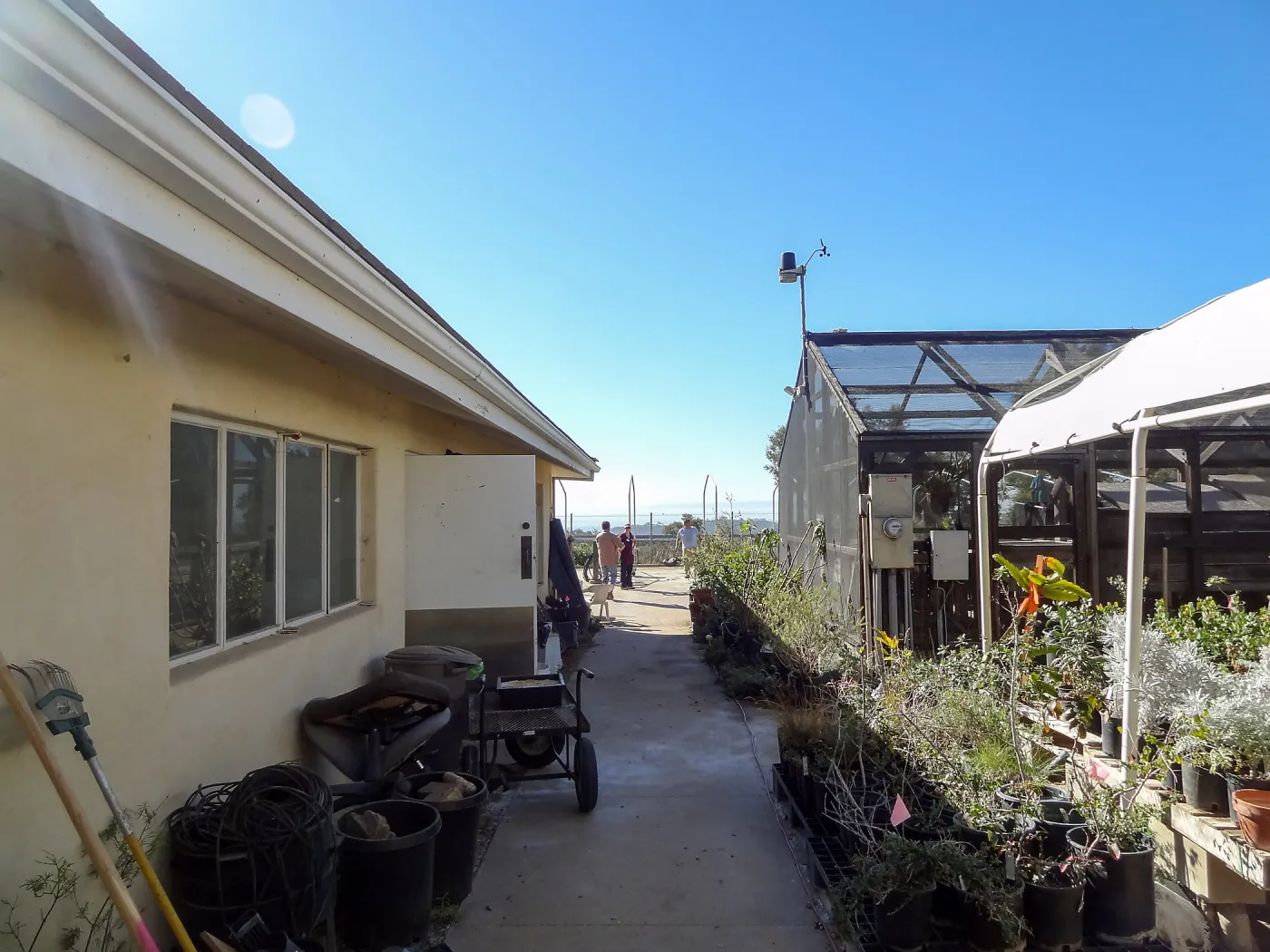 Construction at the Hort Unit, SBBG staff install the new shade structure