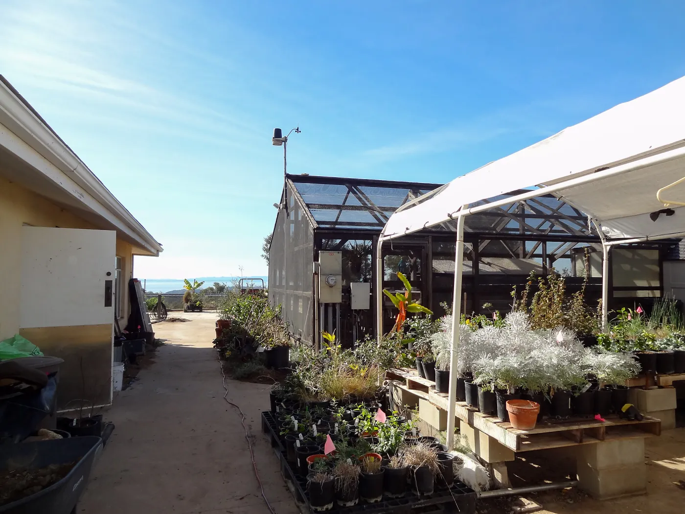 Hort unit (before installation of new shade structure and compactor growing benches)
