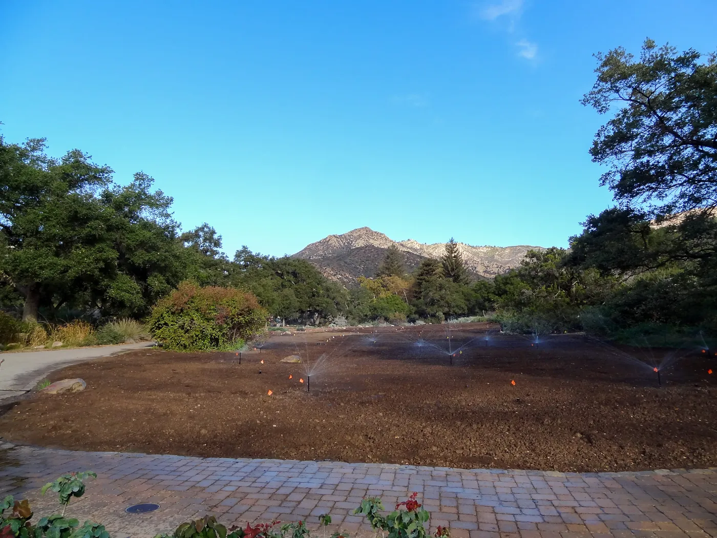 Meadow revival project, grow kill treatment