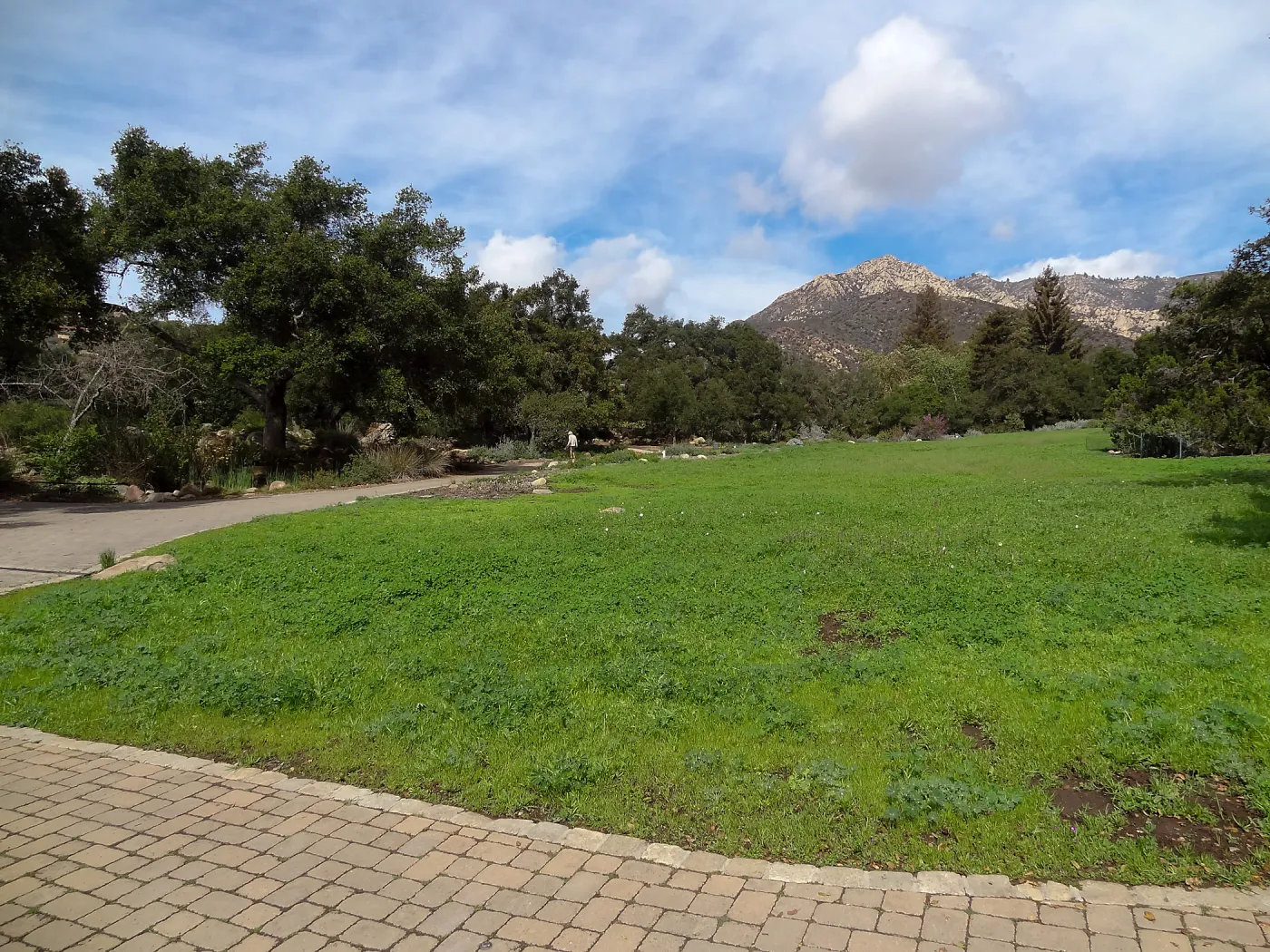 Meadow, view to Santa Ynez Mountains, Meadow Revival Project Grow/Kill