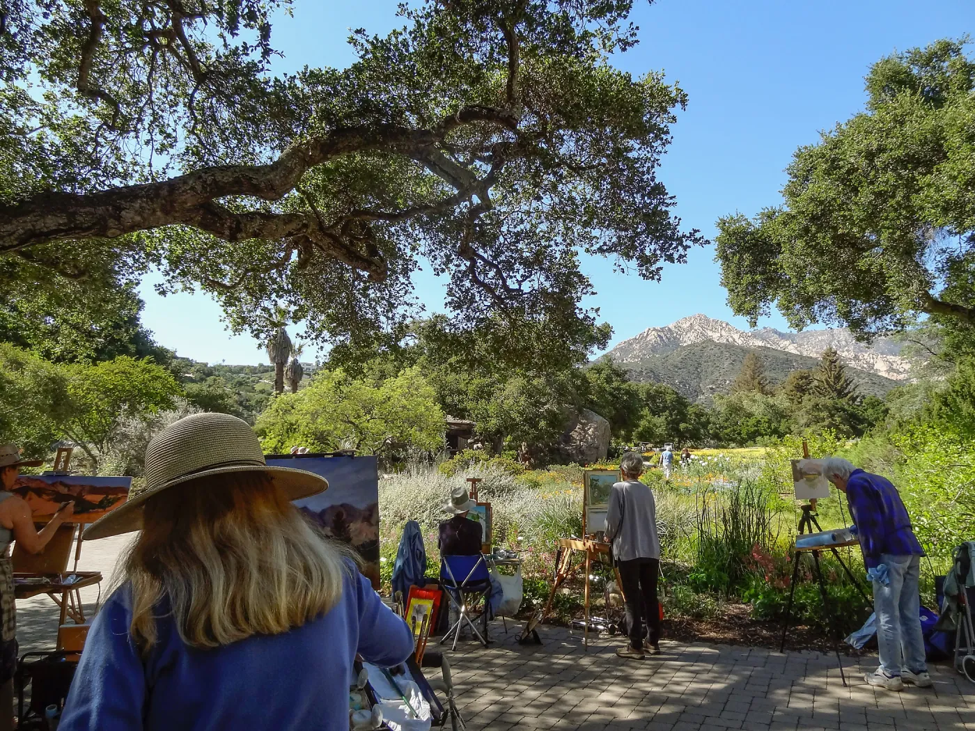 painters, painting the spring wildflower Meadow, 2014
