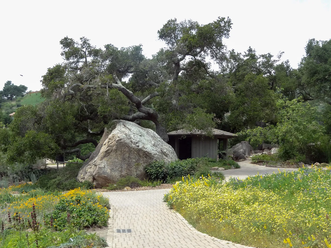 Information Kiosk, Blaksley Boulder, 5 years post Jesusita Fire
