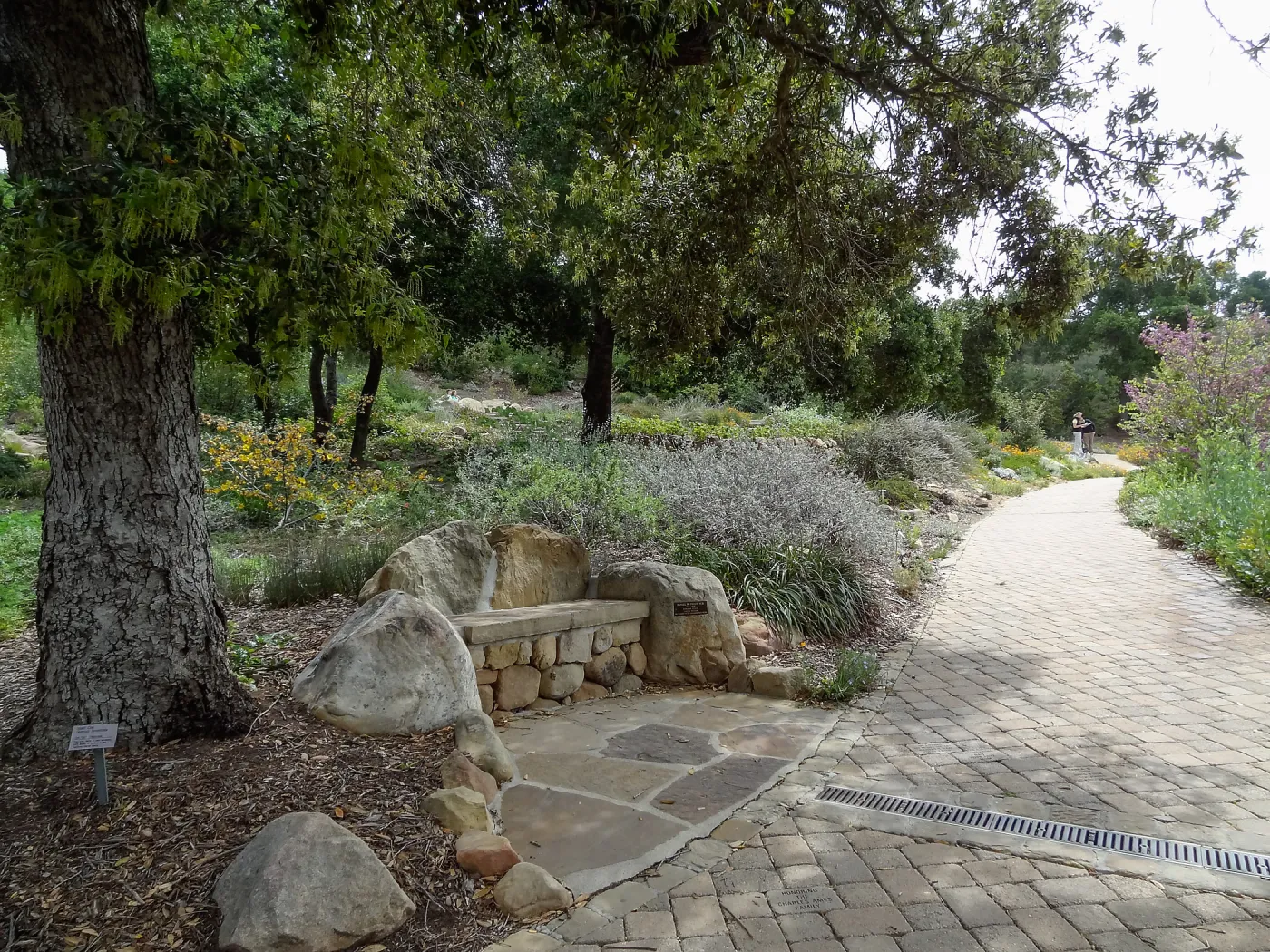  Frost Bench, 5 years post Jesusita Fire