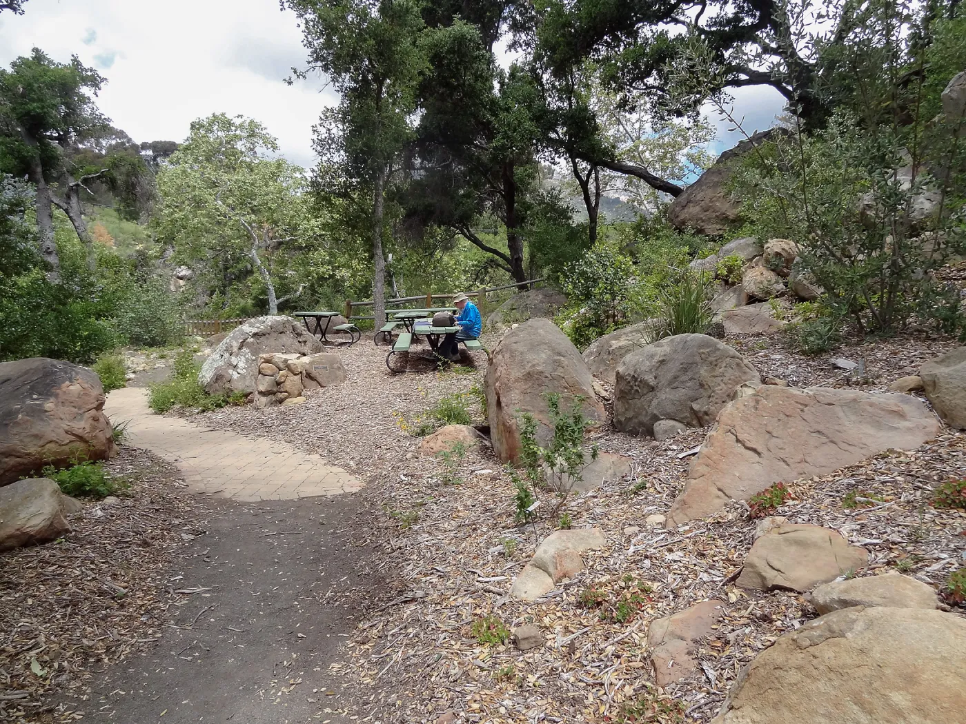 picnic area, 5 years post Jesusita Fire