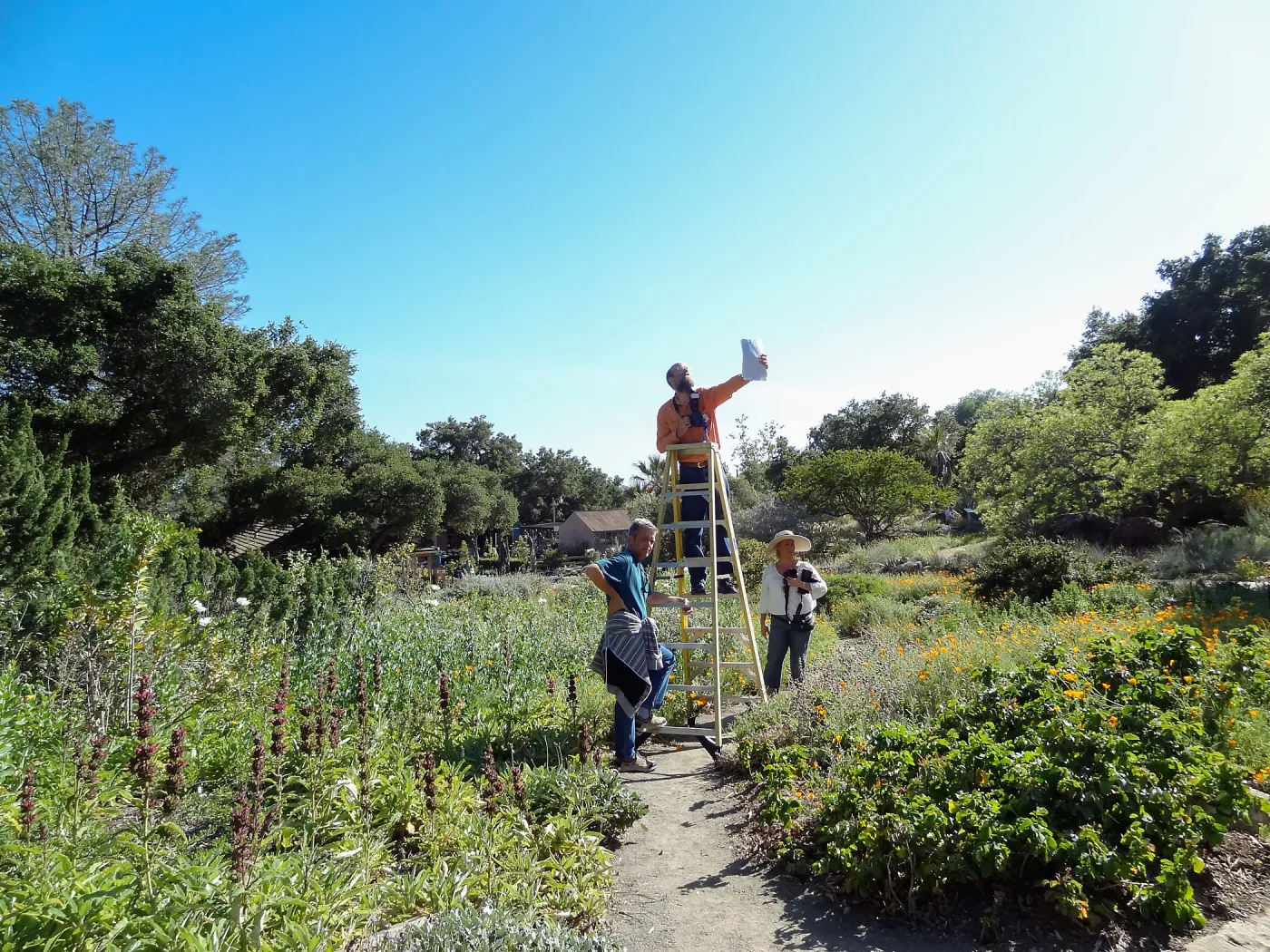 John Wardlaw, Randy Wright, Stacy Bloodworth, recreating the historic photo of two girls in the Meadow with wildflowers