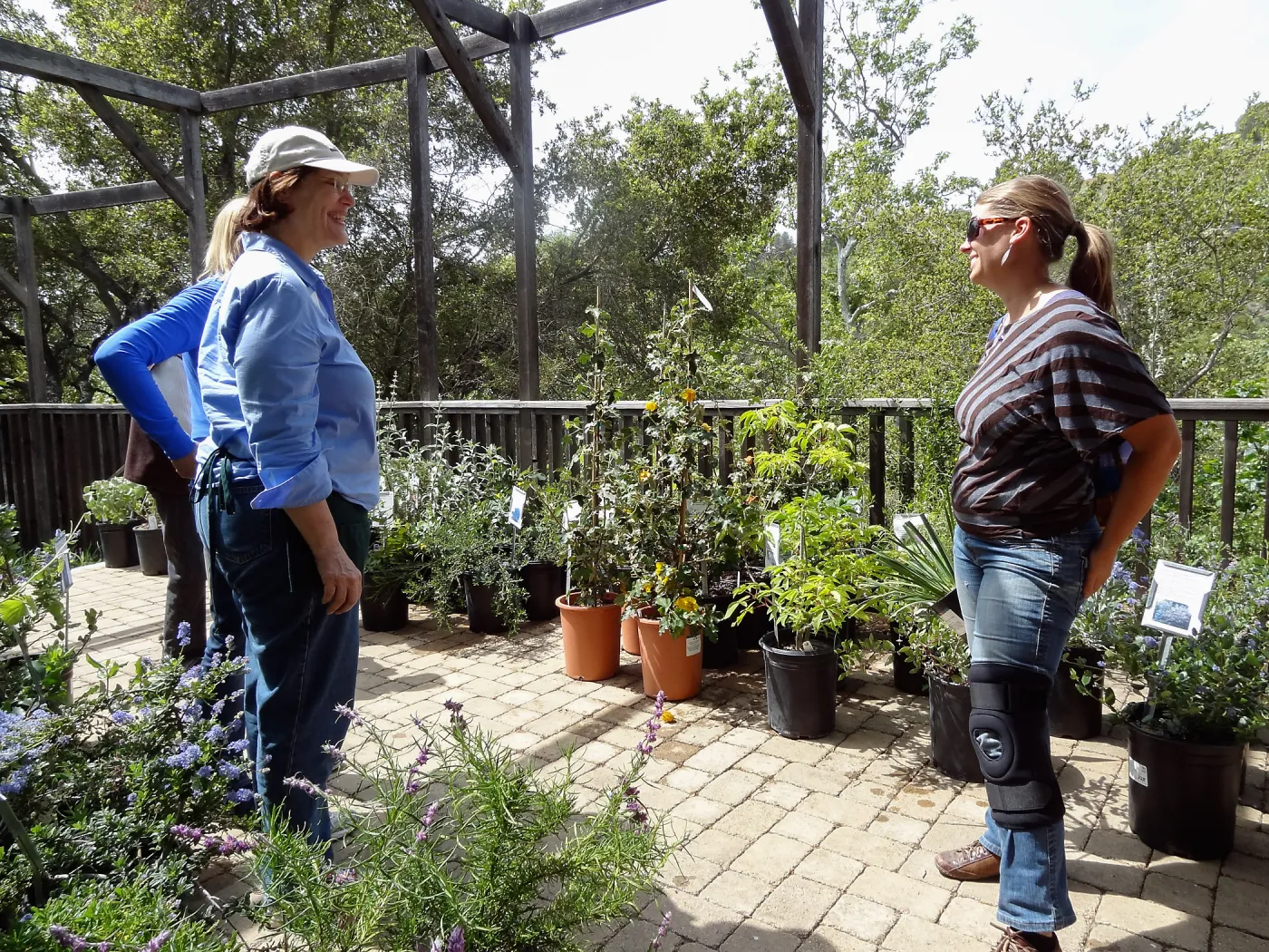 Spring Plant Sale 2014, Wendy Wittl, Heather Wehnau