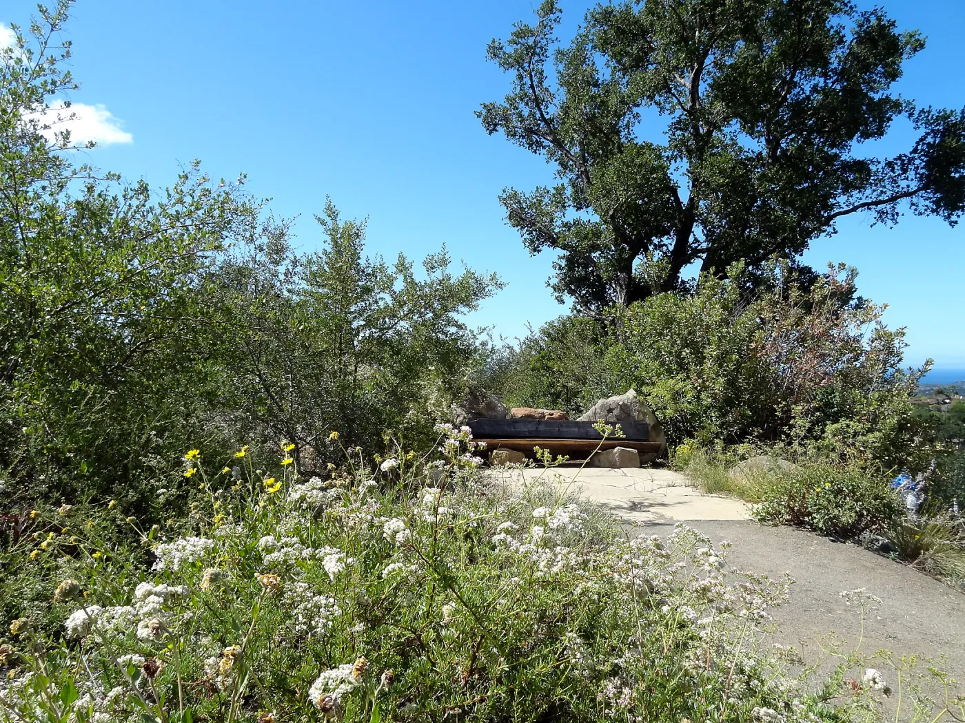 Mr. and Mrs. William Stratton Porter Bench (bench #64), Porter Trail, 5 years post Jesusita Fire