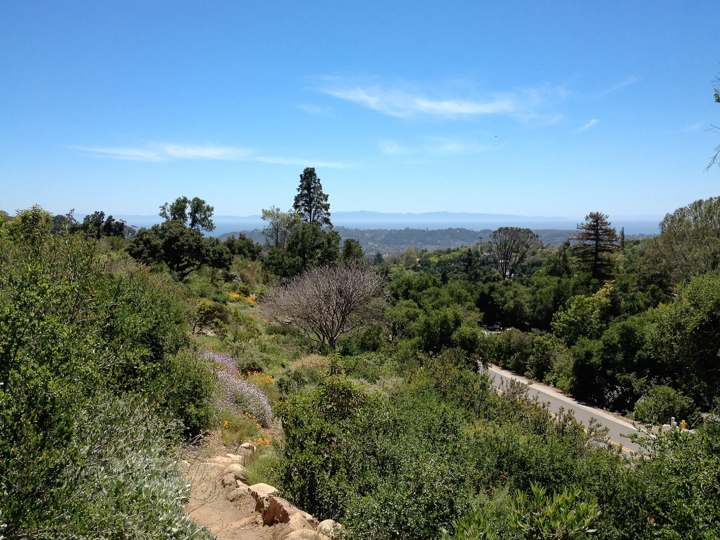 Porter Trail