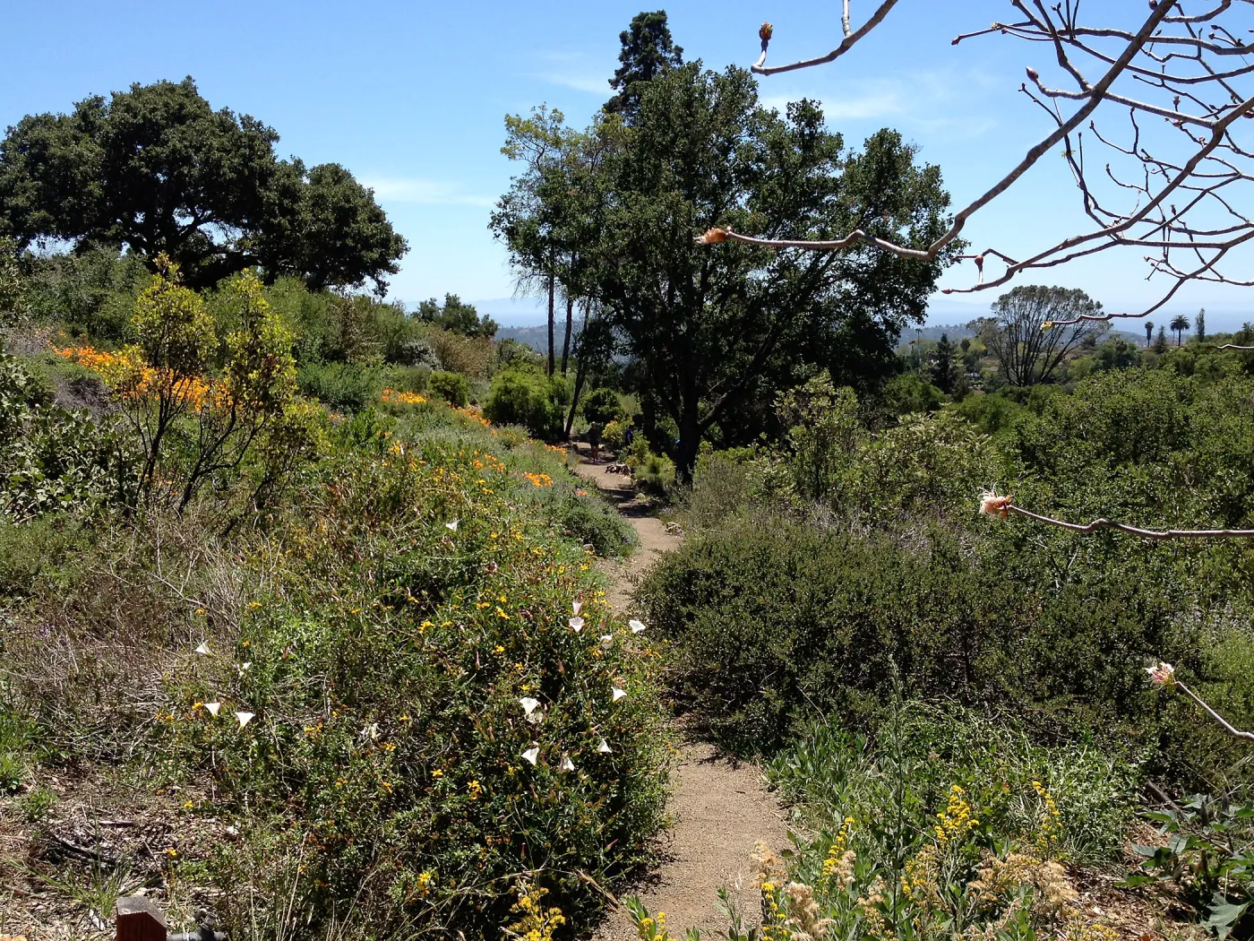 Porter Trail