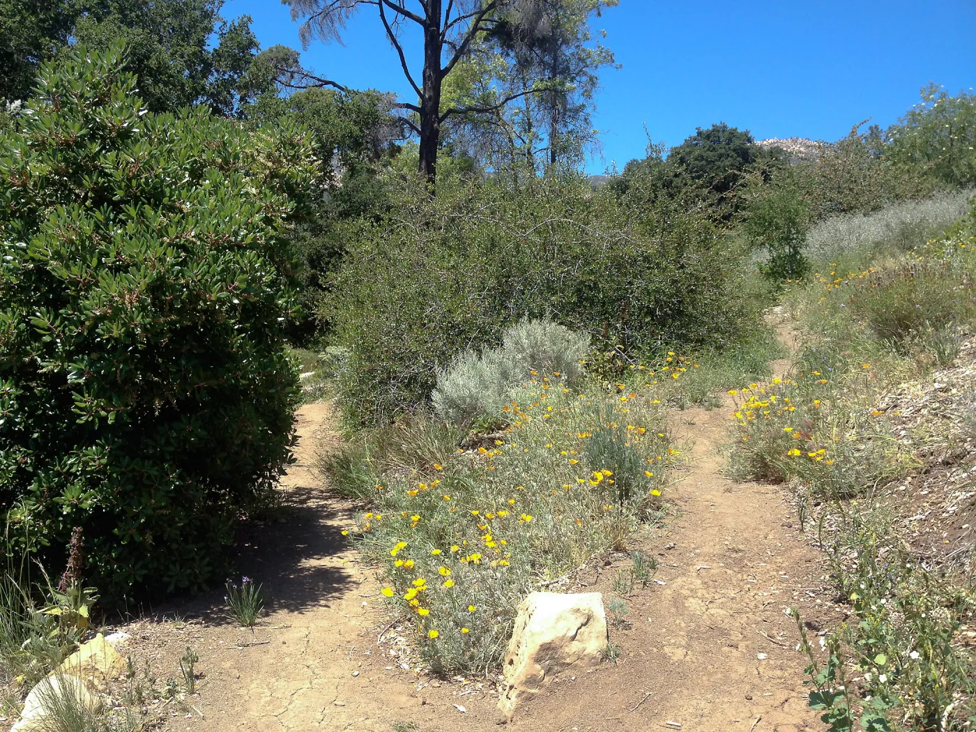 Porter Trail