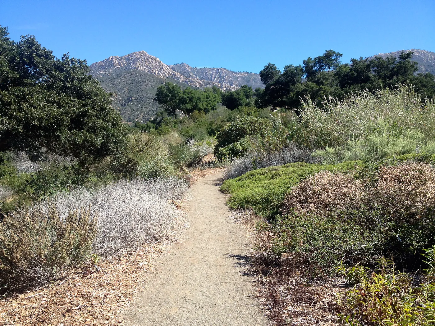 Porter Trail