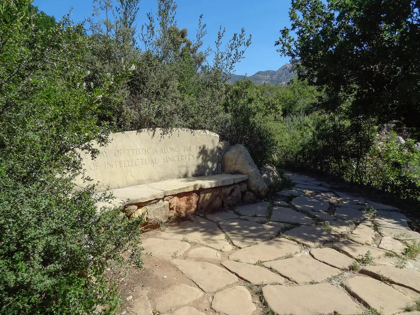 Pritchett Bench, Pritchett Trail, 5 years post Jesusita Fire