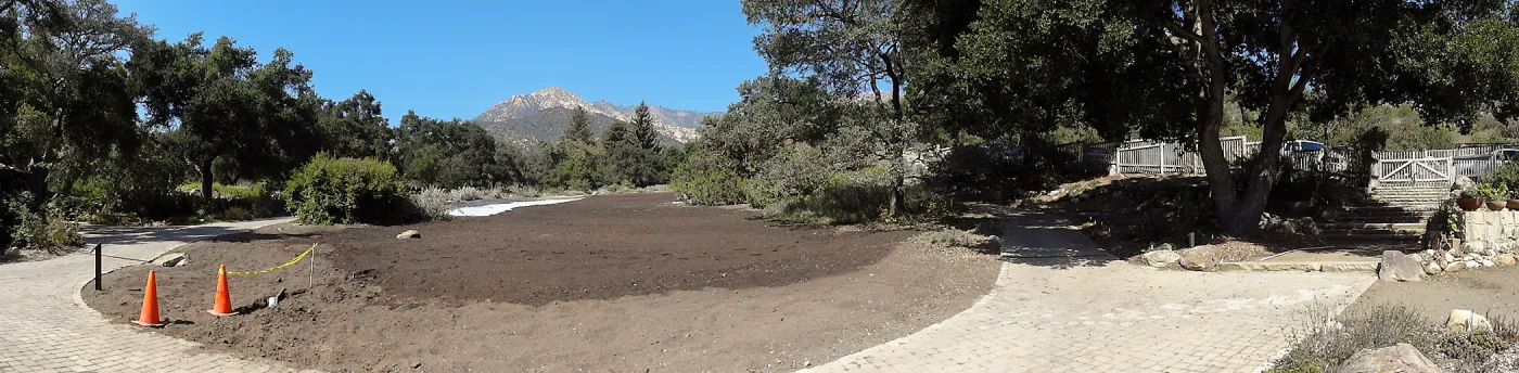 Meadow Revival Project, black versus white plastic mulch test, installation