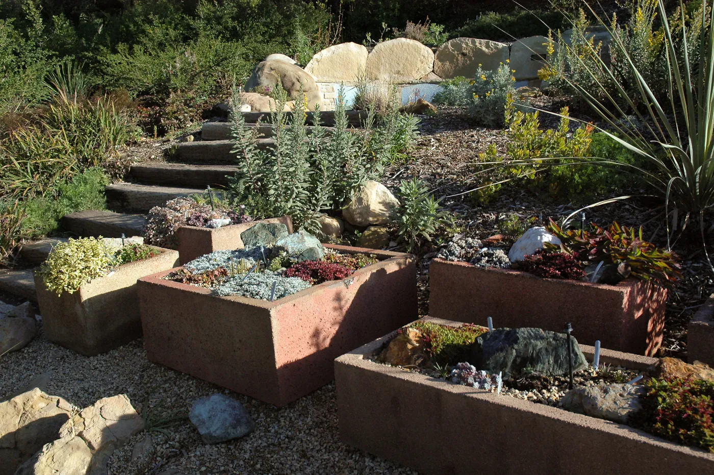 Trough planters at steps to Grammy's bench