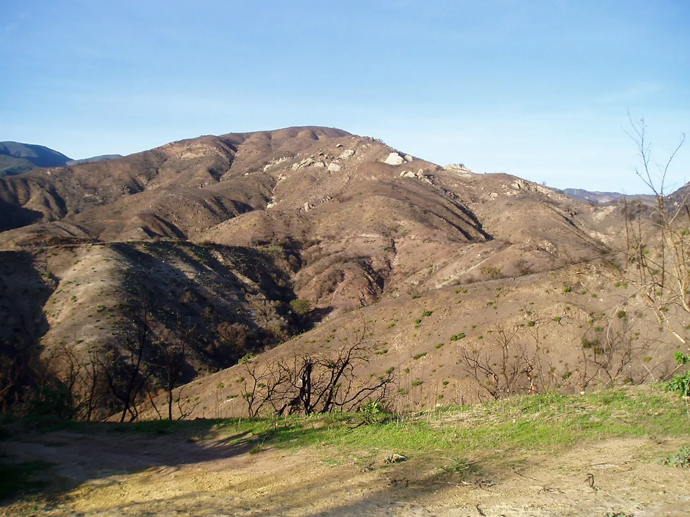 Winchester Canyon After the Gap Fire