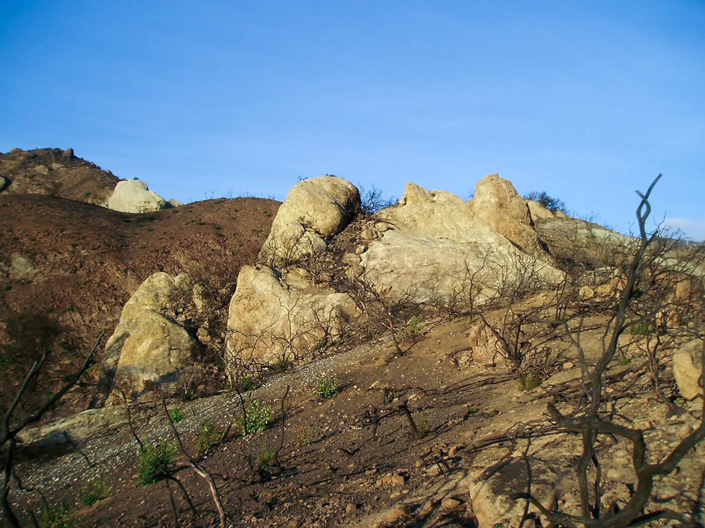 Winchester Canyon After the Gap Fire