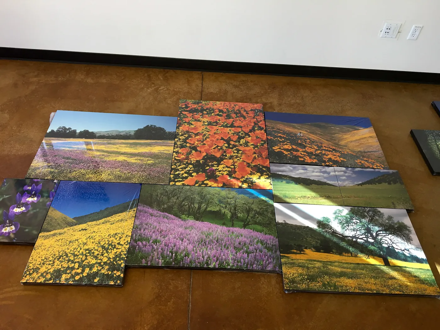 Setting up for Bob Haller memorial and photography exhibit