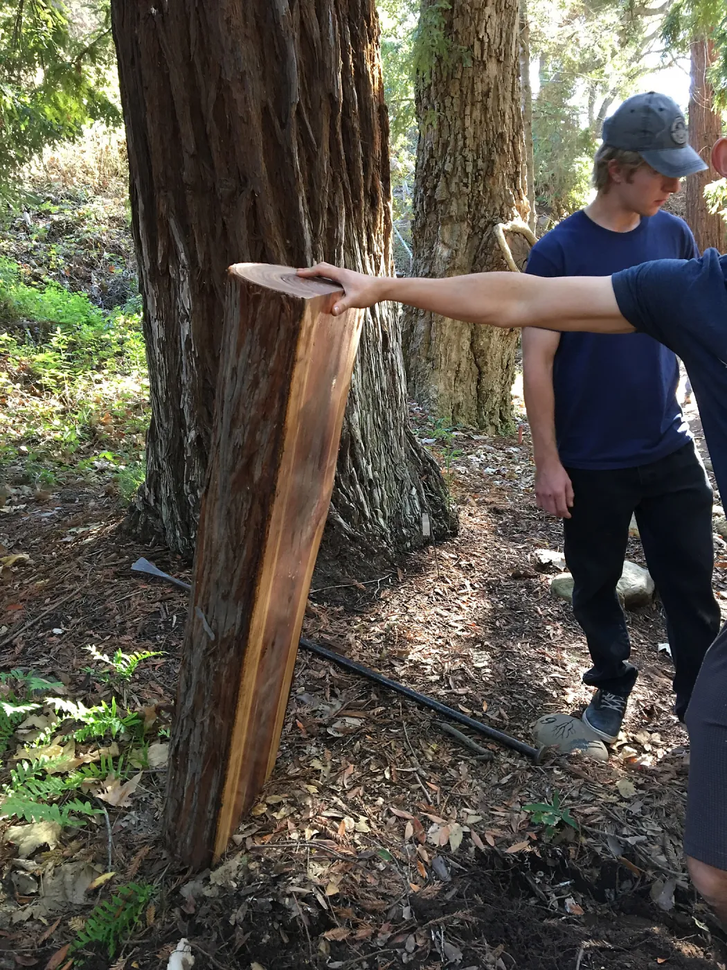 Bench making, Connie Harvie bench