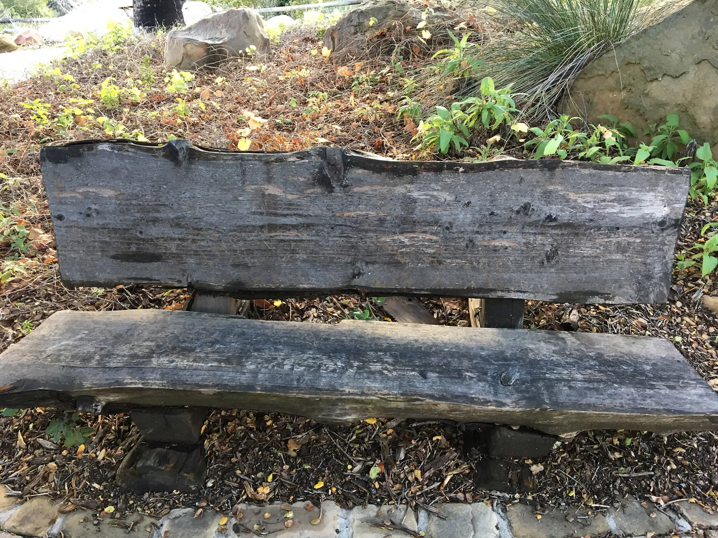 old redwood bench