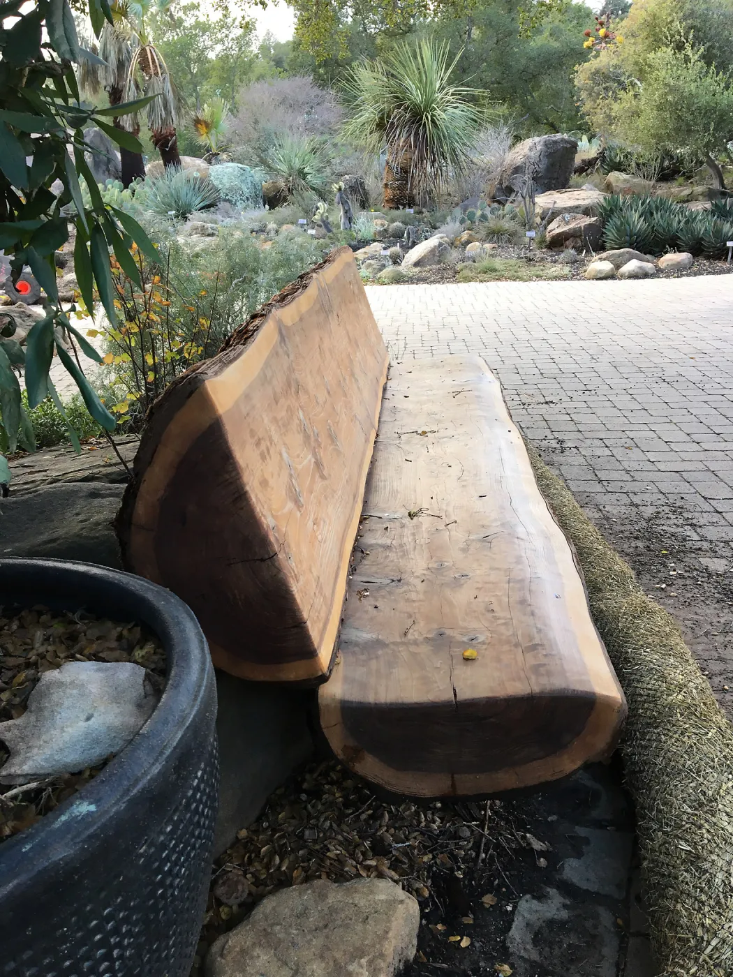 Katherine K Muller bench, in front of Garden shop