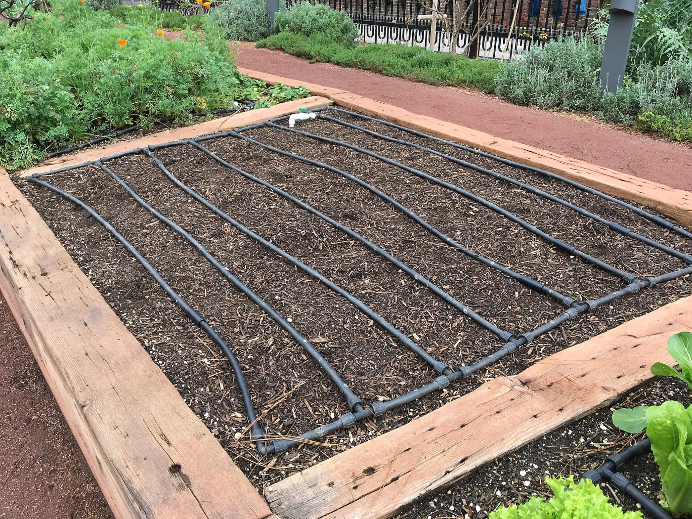 Urban Nature Garden at the Natural History Museum of Los Angeles