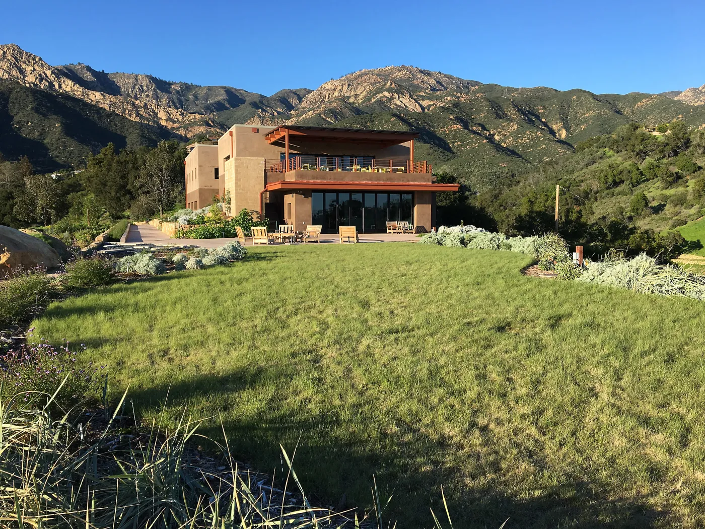 Bouteloua lawn at the Island View Garden
