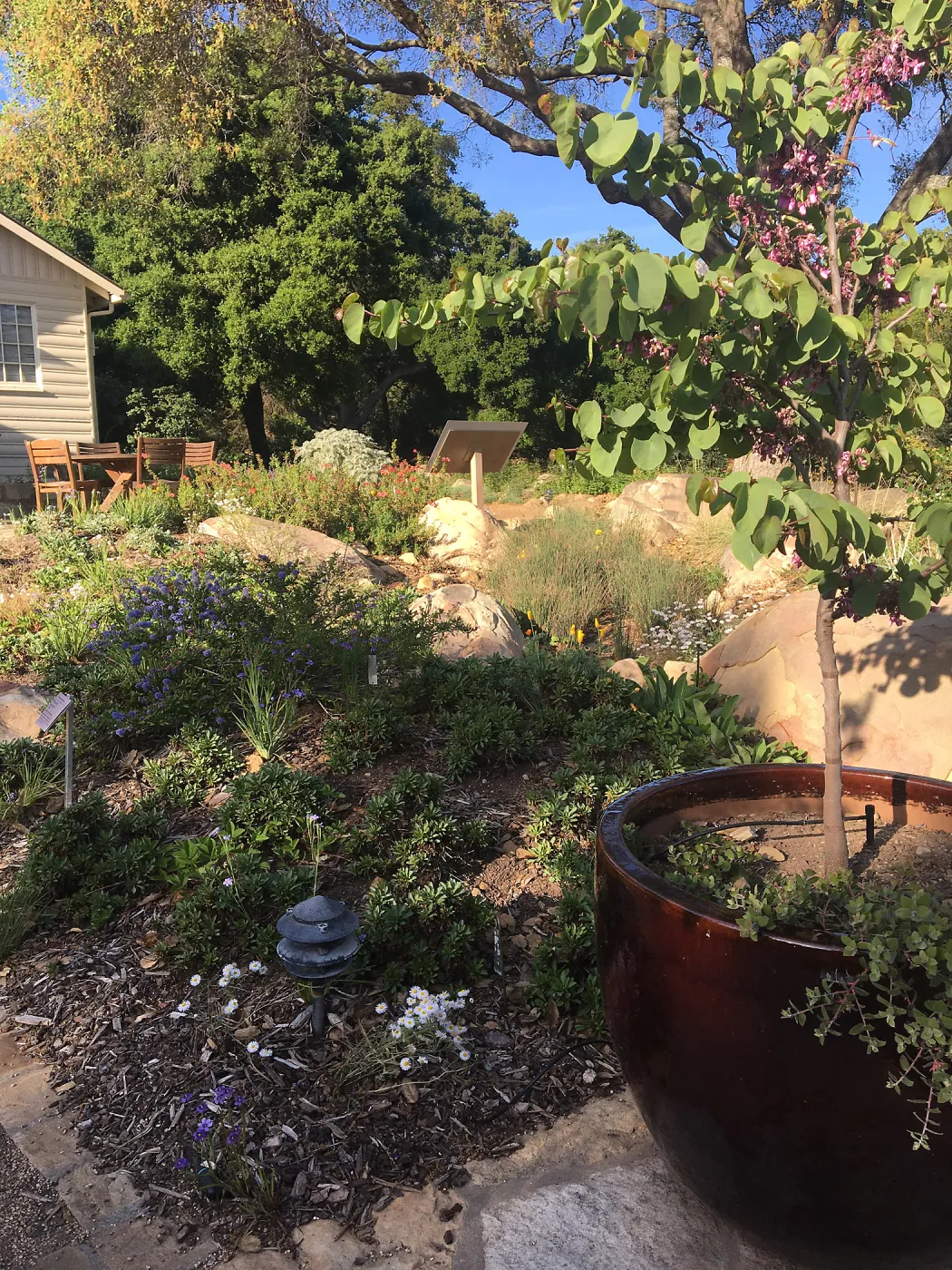 Water Wise Home Garden