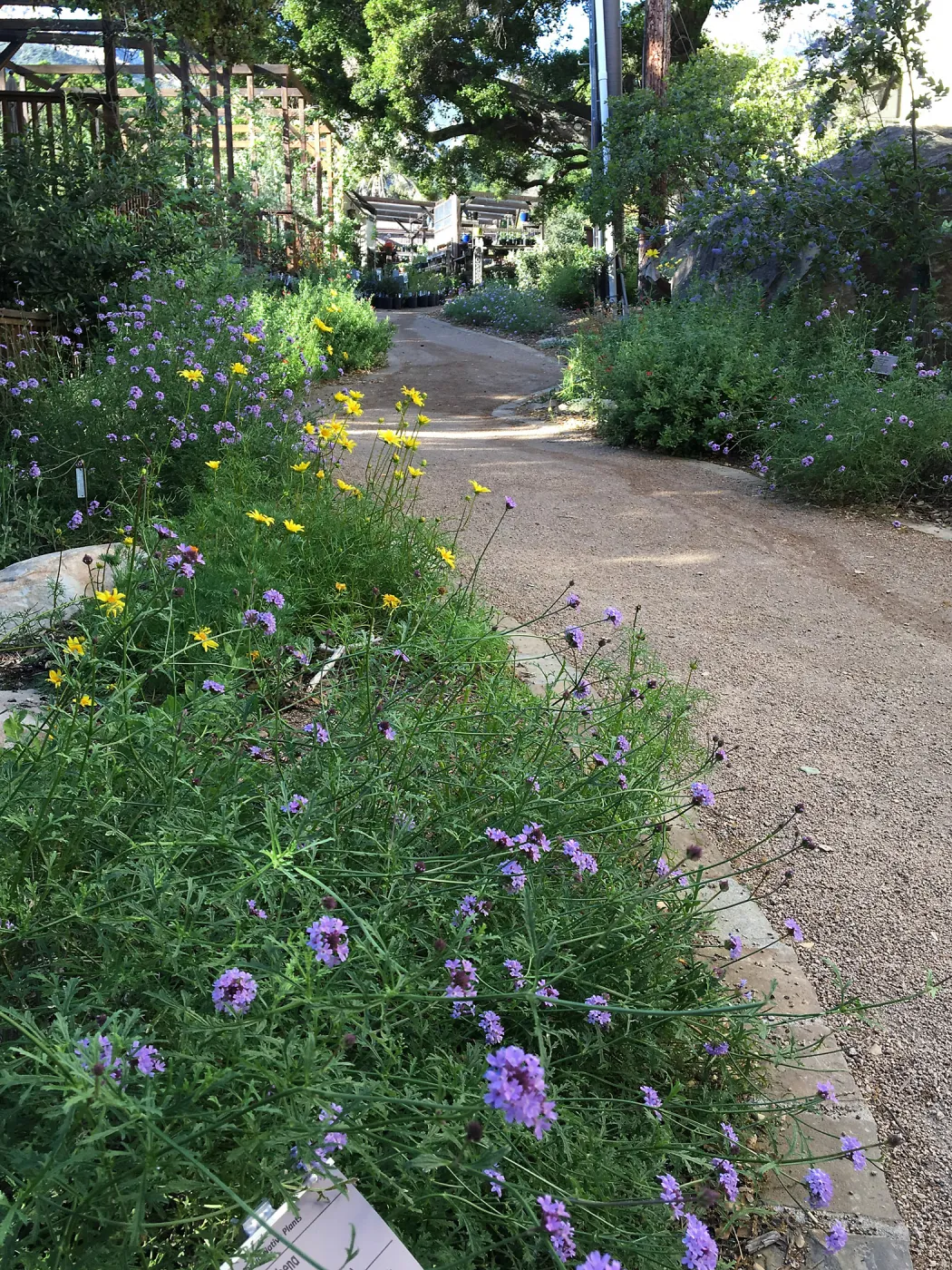 Driveway to Water Wise Home Garden