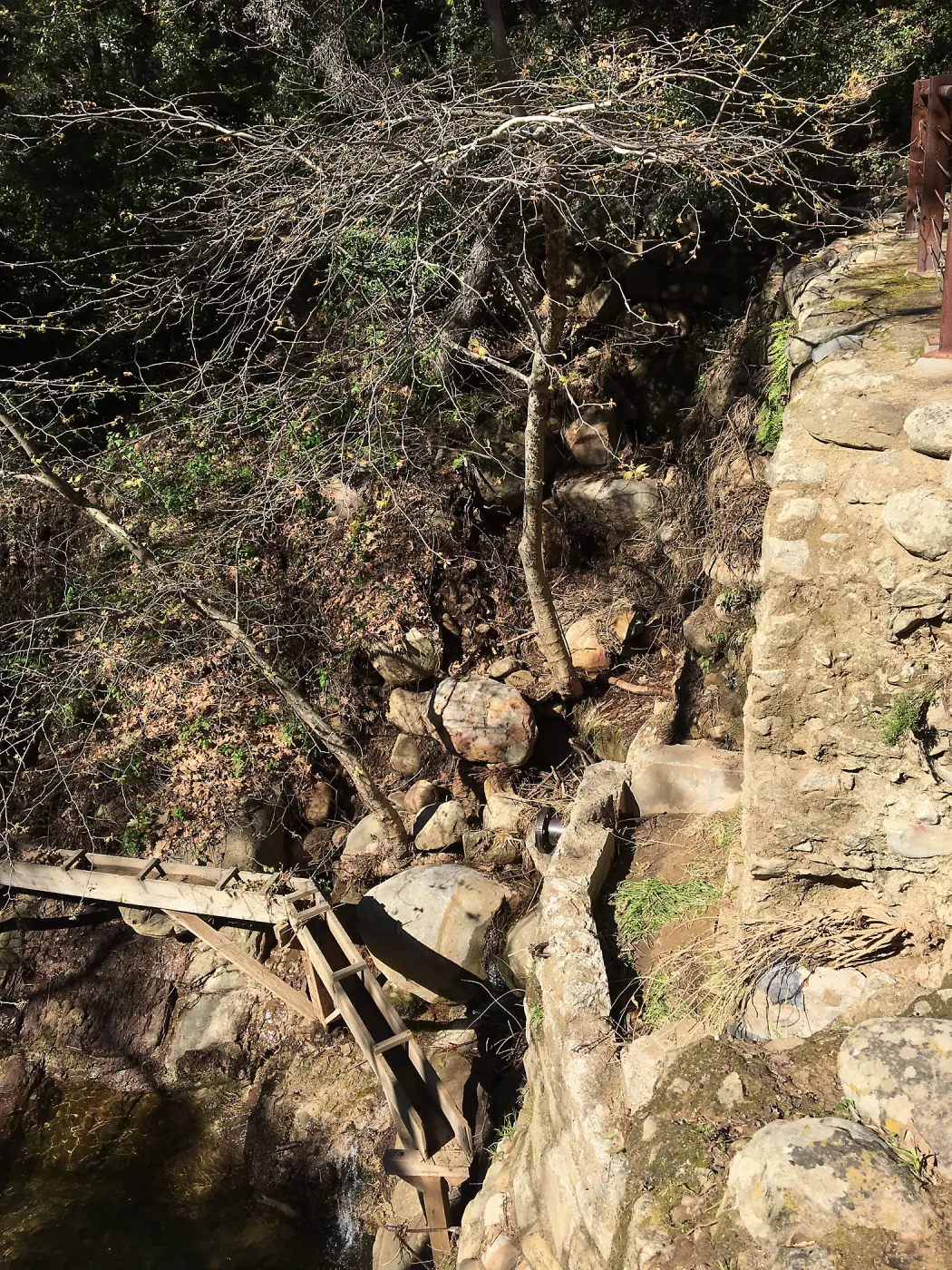 Below Mission Dam after the January 20 rainstorm