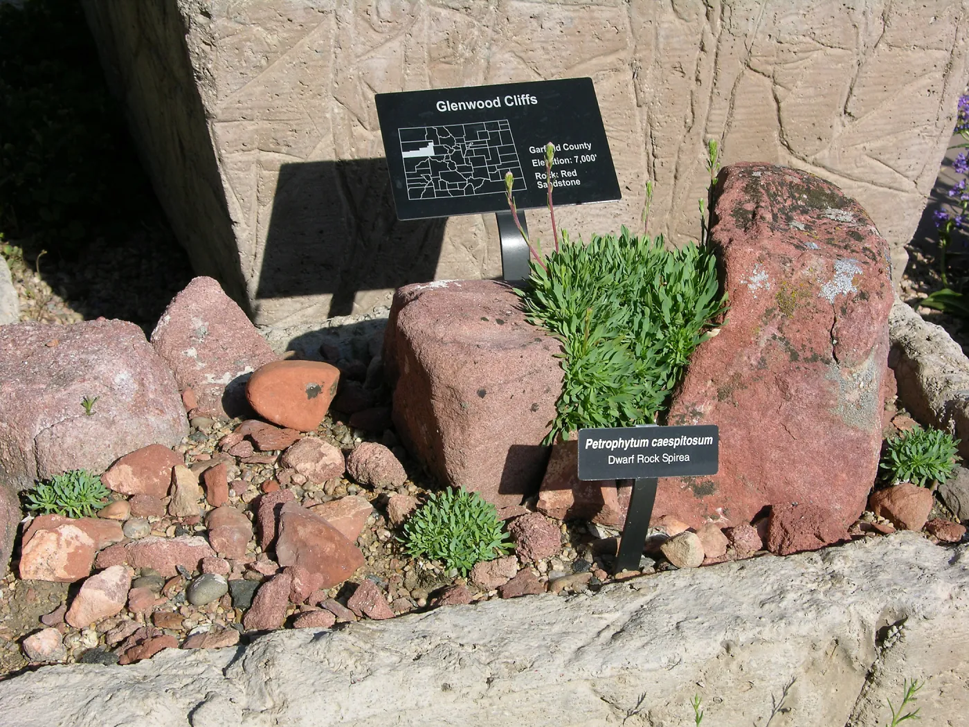 Sandstone Trough, Denver Botanic Garden