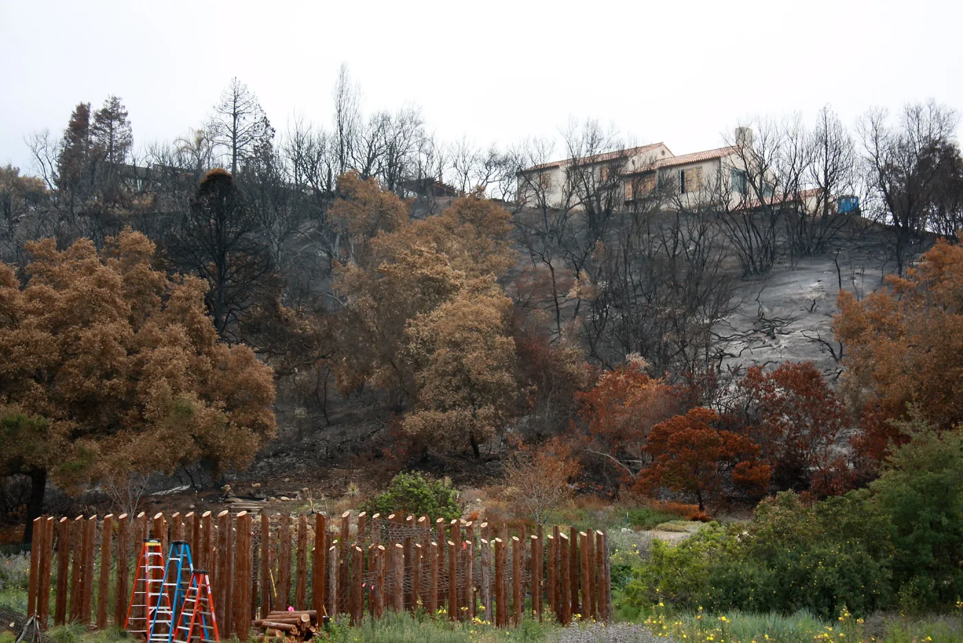 East of Meadow after Jesusita Fire, Herb Parker's â€˜Haven' labyrinth under construction