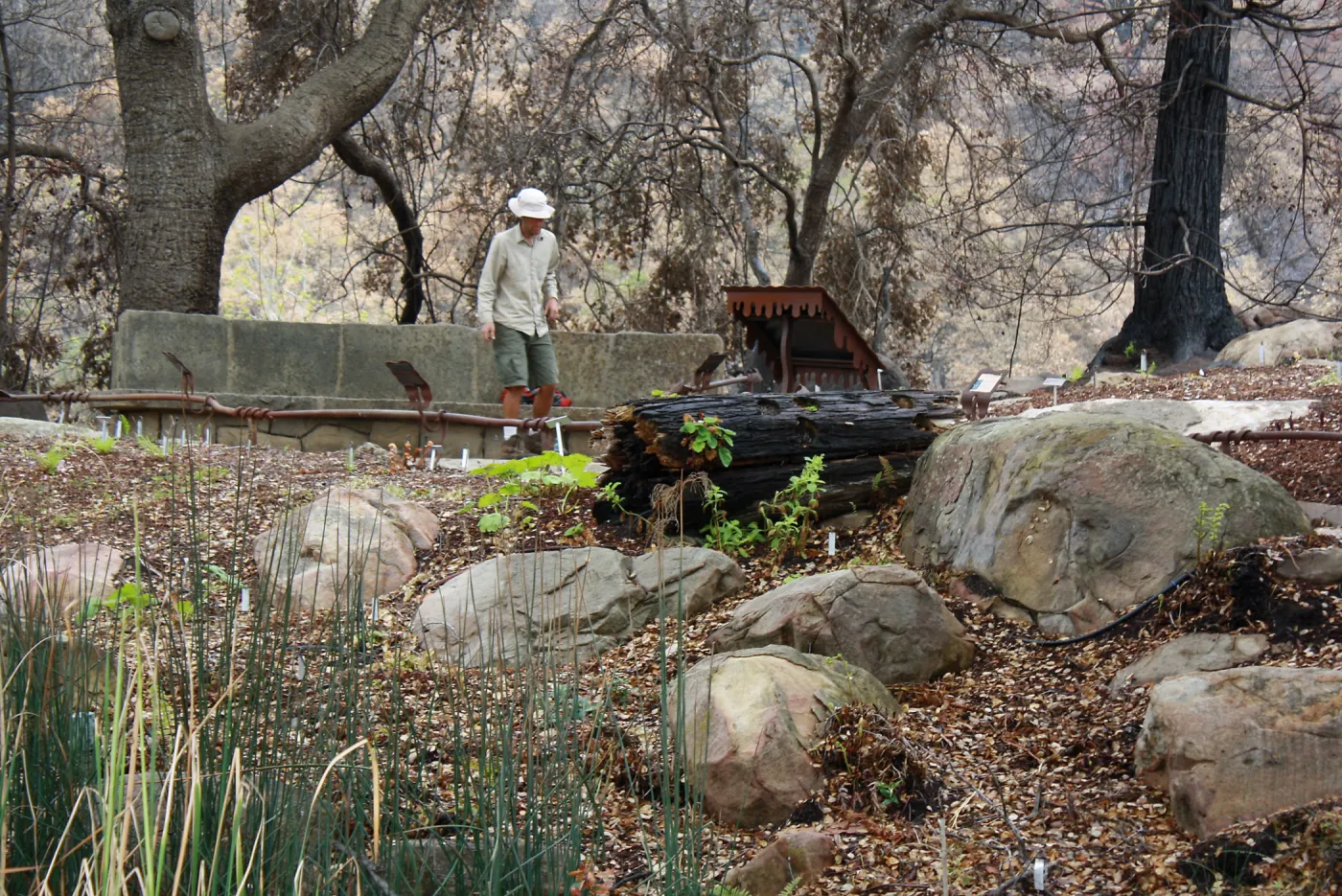 Jason Nelson at Orchid Display after Jesusita Fire