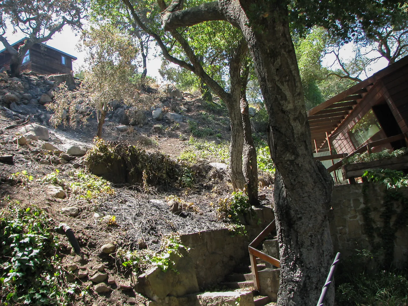 Slope between Library Annex and Weber Studio after Jesusita Fire
