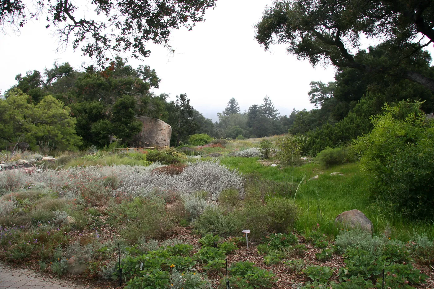 Meadow from entrance area