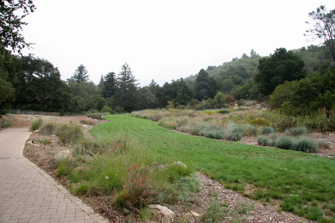 Meadow fom Blaksley Boulder area