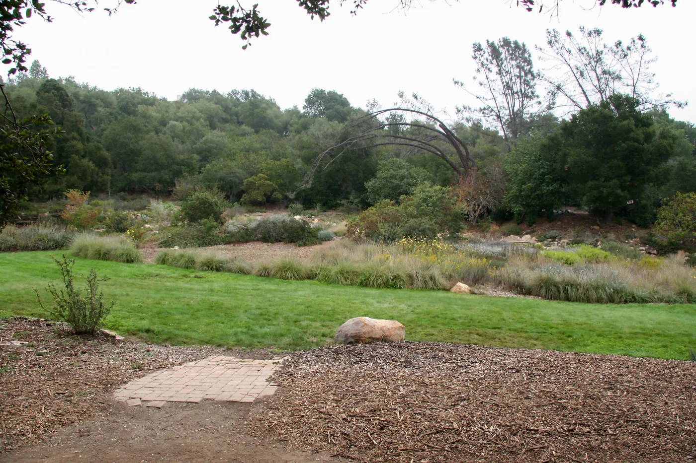 Meadow looking east from Meadow Terrace