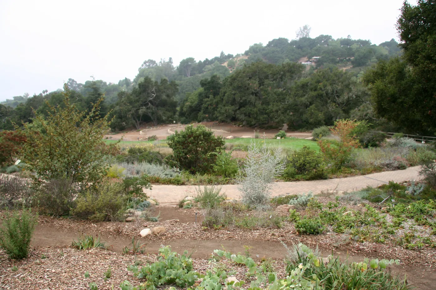View across Meadow from Meadow View to Meadow Terrace