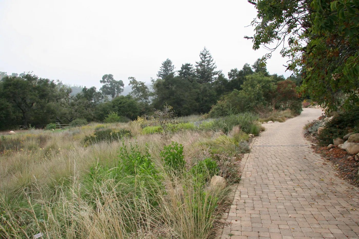 View towards north from east side of Meadow