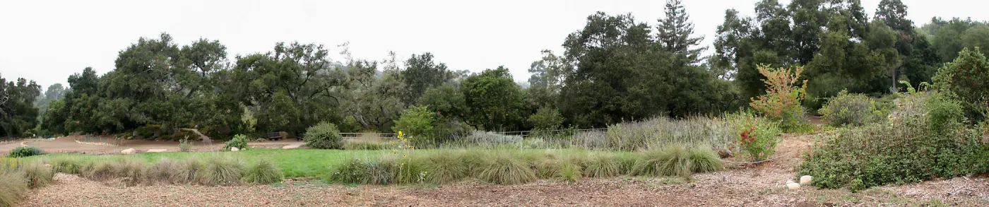 Panoramic view of west side of Meadow from east side