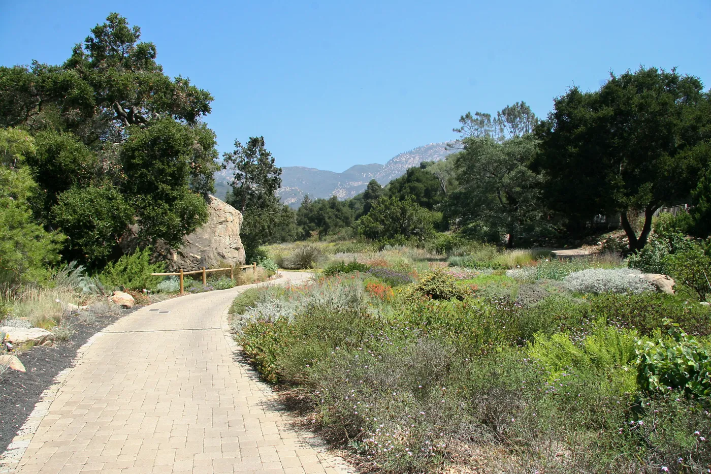 Groundcover Section and Meadow