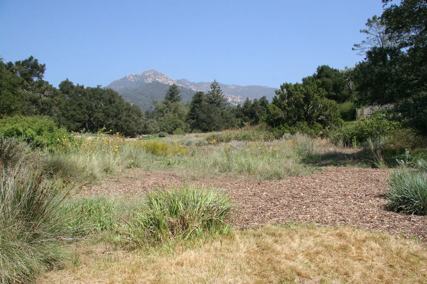 Looking north from middle of Meadow