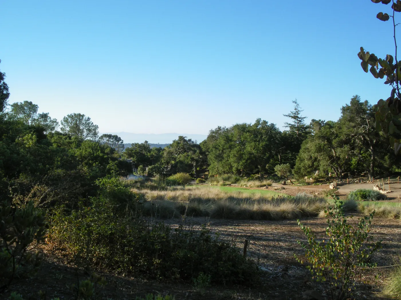 Looking south across Meadow