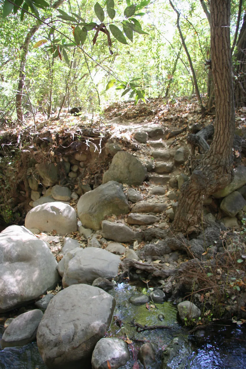 Steps at lower creek crossing