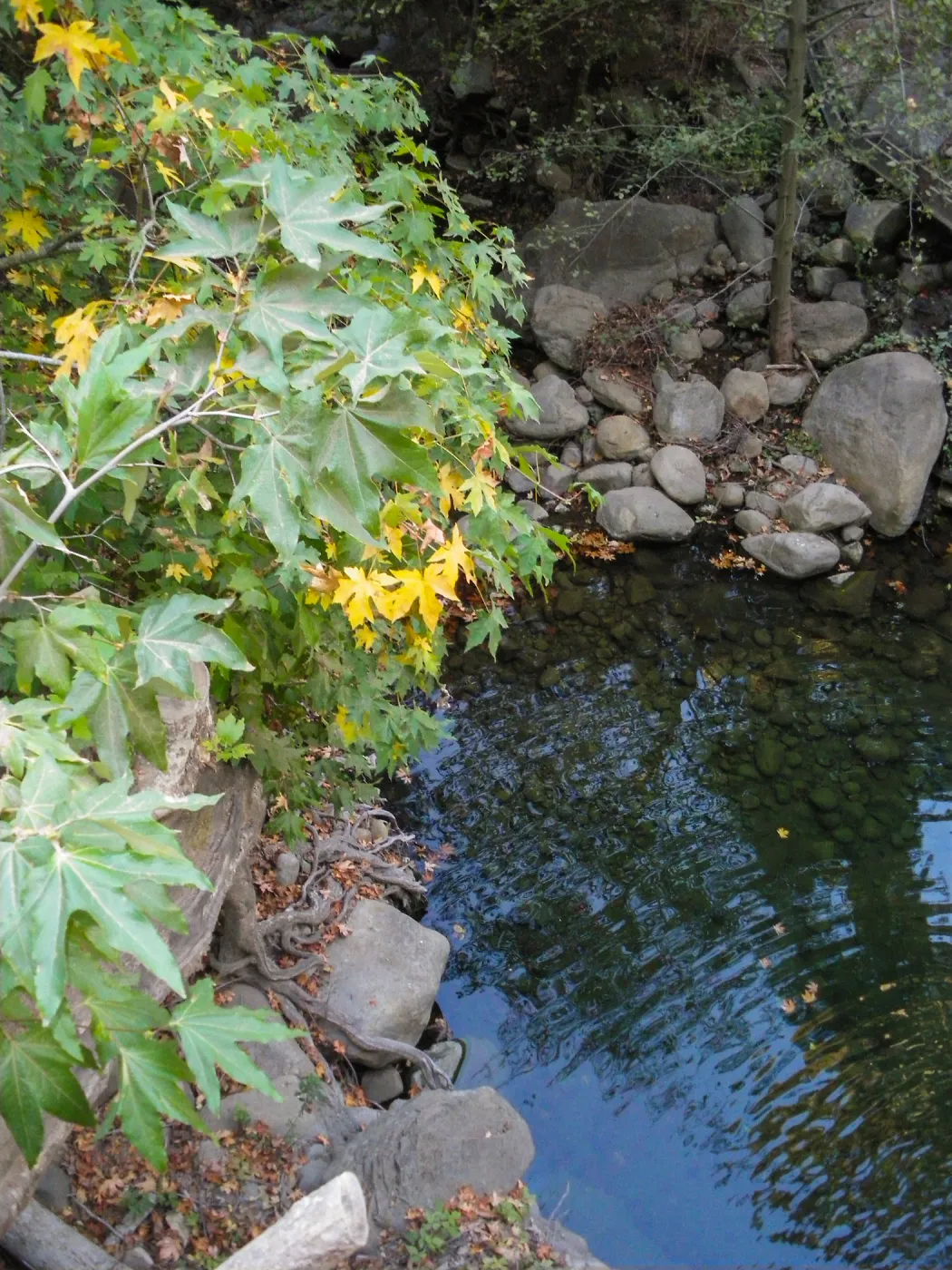 Pool below Mission Dam