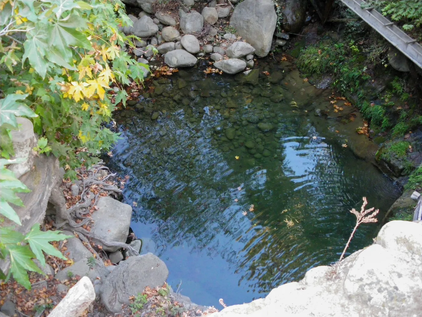Pool below Mission Dam