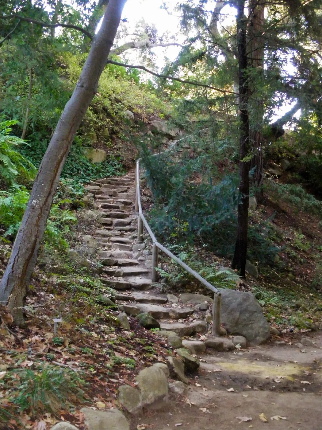 Redwood Section, Indian Steps