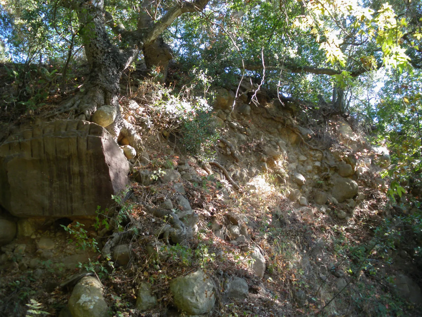Canyon wall above Mission Dam